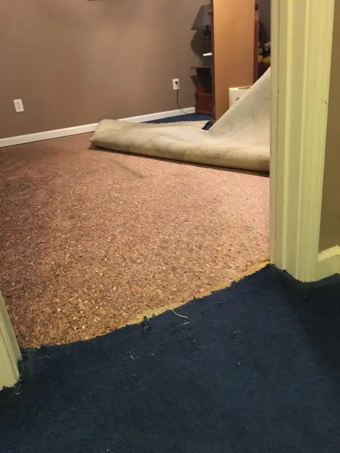 Carpet pad removal revealing water damage during Drying & Dehumidification in Dolton
