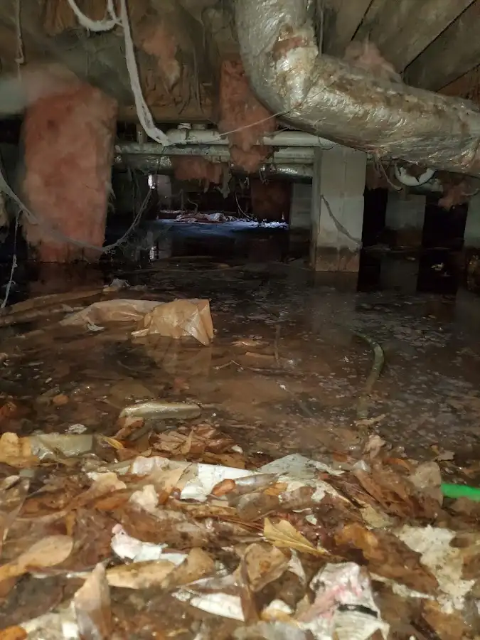 Crawl space flood assessment for Commercial Water Damage Restoration in Dolton