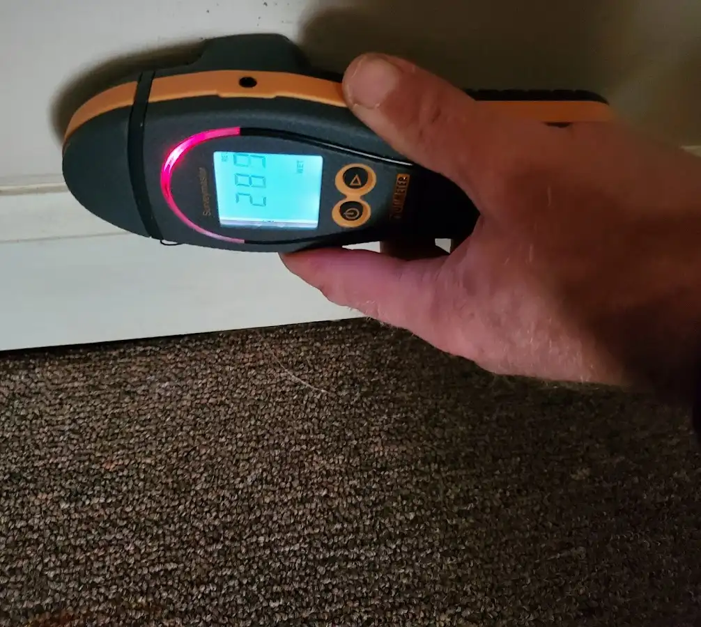Moisture detection at baseboard during Sewage Cleanup & Sanitation in Dolton